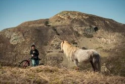 Santa Cruz Bronson 4 C MX XT Gloss Moss Et Blue -Promos Vélos Magasin 1280 6VPJsz5IKAO81Yec