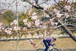 Cannondale SuperSix EVO Carbon Disc 105 Black Pearl 10 Cannondale SuperSix EVO Carbon Disc 105 Black Pearl -Promos Vélos Magasin SuperSix EVO In The Wild 2